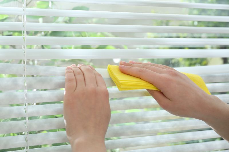 Roman Shade Cleaning in Boston, MA
